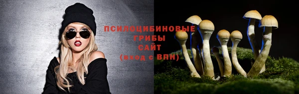 скорость Аркадак