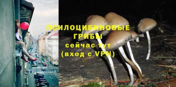 винт Армянск