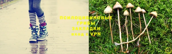 винт Армянск